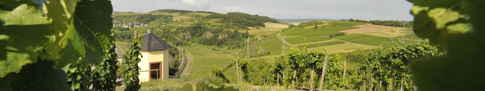 Landschaft mit Blick auf Weinberge und Wingertshaeuschen